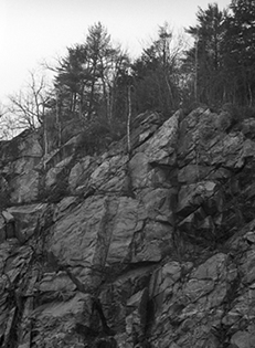 Black and White Photograph Rock Ledge Ogunquit Maine
